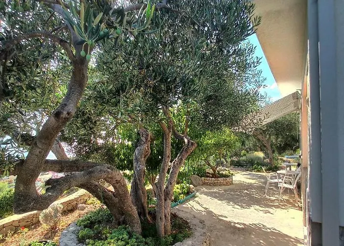Apartament Casa Del Olivo