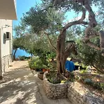 Apartment Casa Del Olivo Tučepi