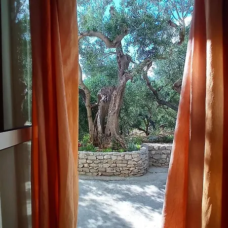 Casa Del Olivo Appartement