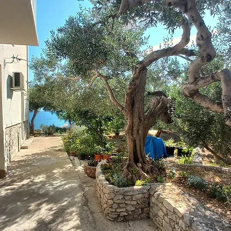 Appartement Casa Del Olivo Tučepi