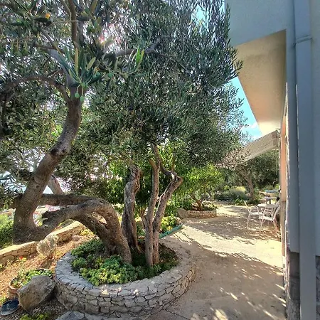 شقة Casa Del Olivo