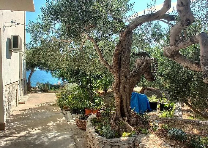 アパート Casa Del Olivo Tučepi